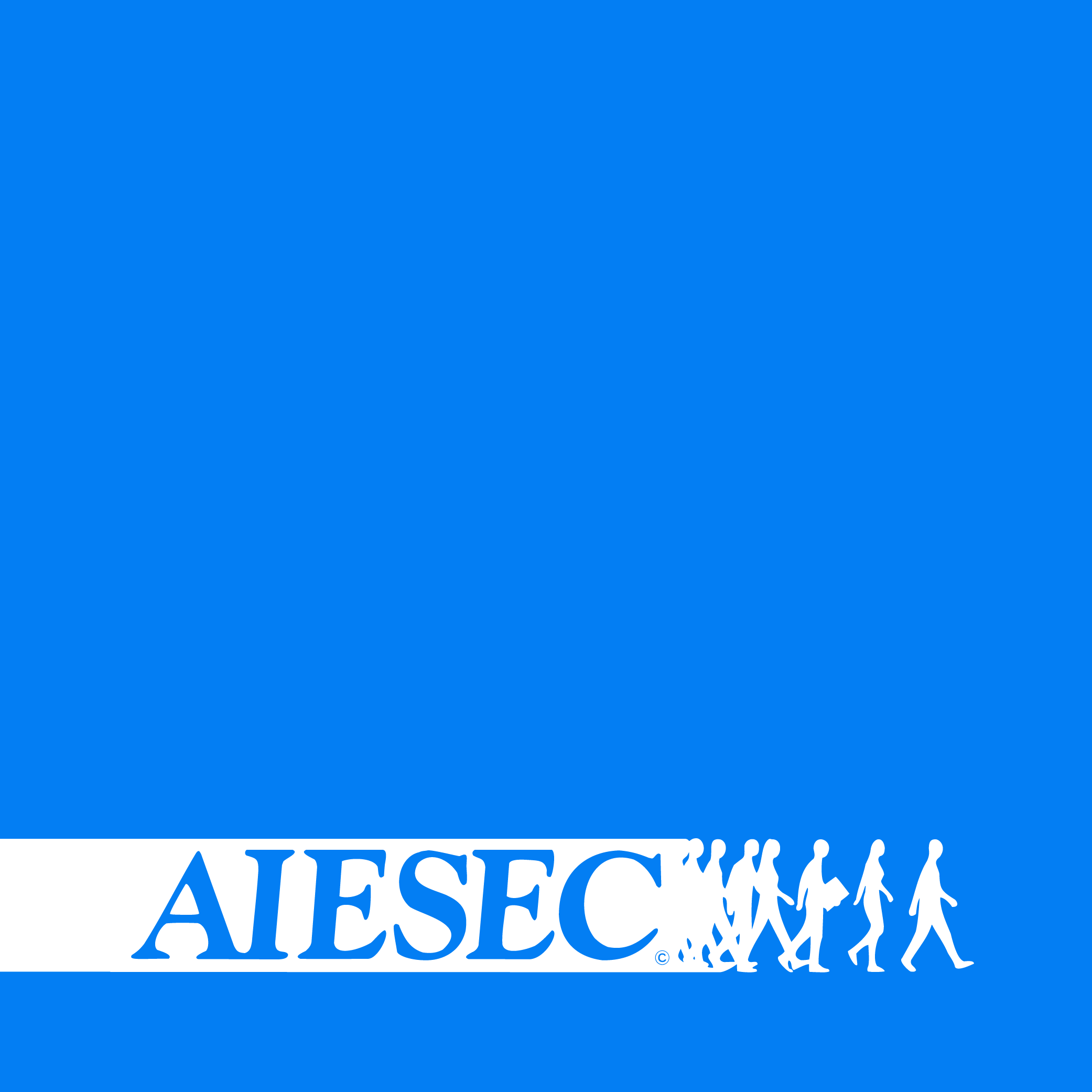 project name